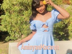 AminyanMacaron