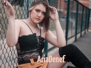 AriaDenef