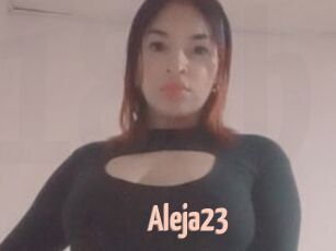 Aleja23