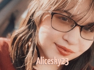Alicesky23