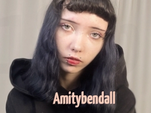 amitybendall 18A blog