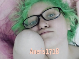 aneris1718 18A blog