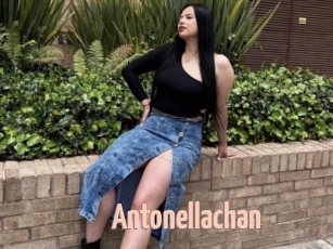 Antonellachan
