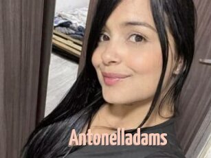 Antonelladams
