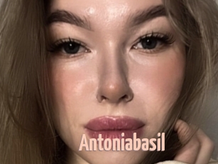 Antoniabasil