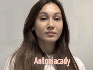 Antoniacady