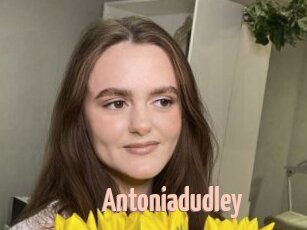 Antoniadudley