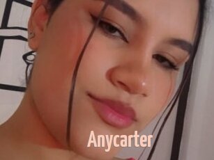 Anycarter