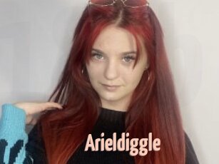 Arieldiggle