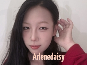 Arlenedaisy