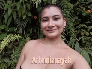 Artemiznayak