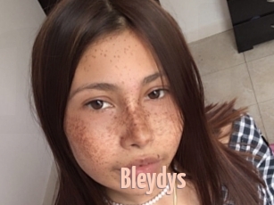 Bleydys