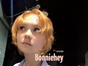 bonniehey 18A blog