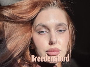 breedensford 18A blog
