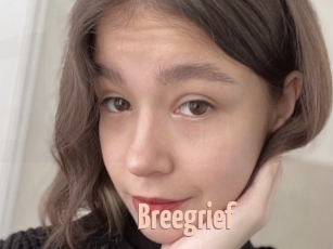 Breegrief