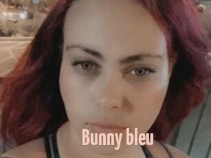 Bunny_bleu