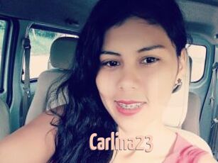 Carlina23