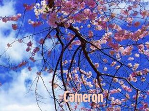 Cameron
