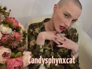Candysphynxcat