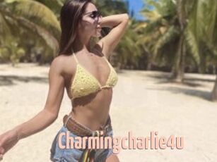 Charmingcharlie4u