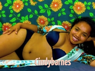 Cindybarnes