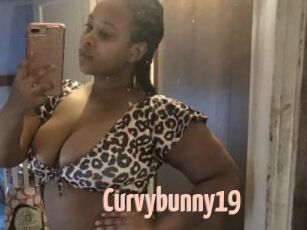 Curvybunny19