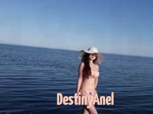 DestinyAnel