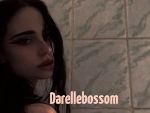 Darellebossom