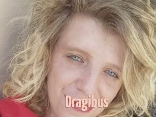 Dragibus