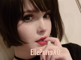 EllePurrsXO