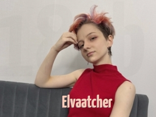 Elvaatcher