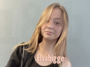 Elvabigge