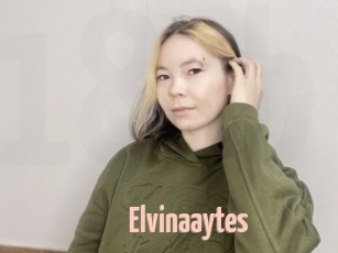 Elvinaaytes
