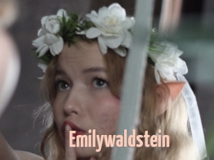 emilywaldstein 18A blog