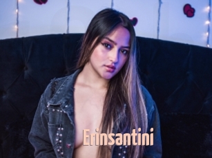 Erinsantini