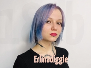 Erlinadiggle
