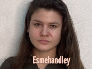 Esmehandley