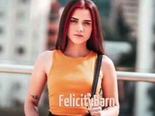 FelicityBarn