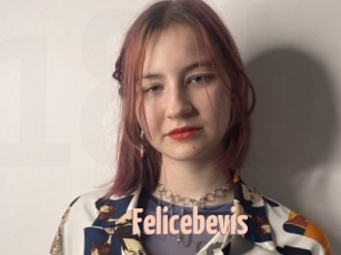 Felicebevis