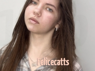 Felicecatts