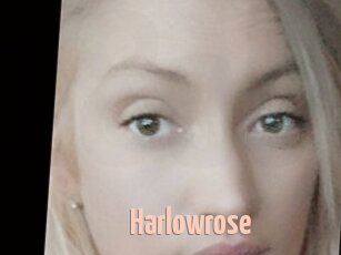 Harlowrose
