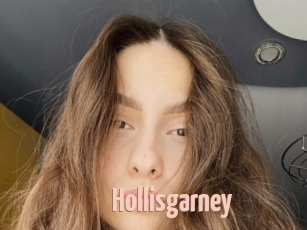 Hollisgarney