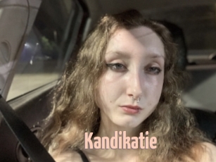 Kandikatie