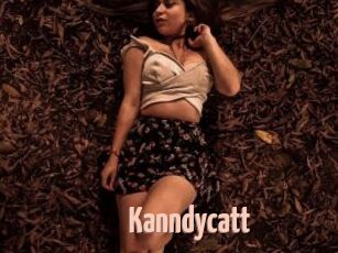 Kanndycatt