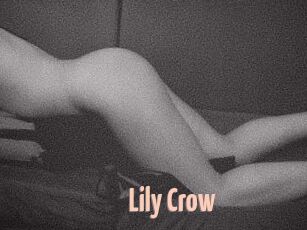 Lily_Crow