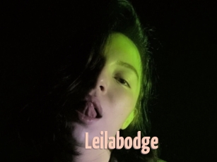 Leilabodge