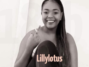 Lillylotus