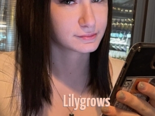 Lilygrows