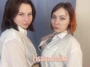 Lisaandmika
