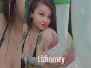 Lizhorney